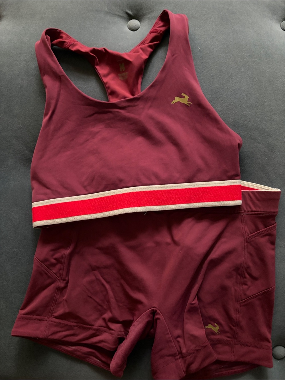 EUC Tracksmith Women’s Size Medium Berry Run Bra and Lane 5 Shorts